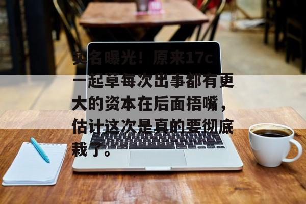 实名曝光！原来17c一起草每次出事都有更大的资本在后面捂嘴，估计这次是真的要彻底栽了。